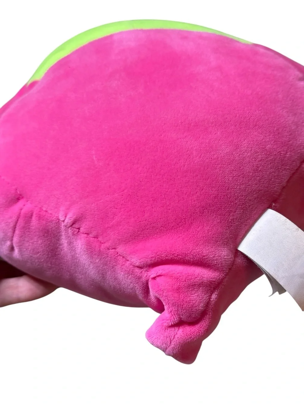 Squishmallow Archie the Axolotl 8